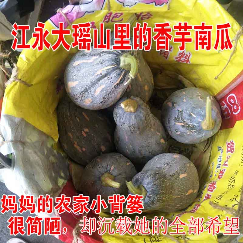 湖南永州特产江永香芋南瓜5斤9斤包邮新鲜老南瓜时令蔬菜宝宝辅食 水产肉类/新鲜蔬果/熟食 南瓜 原图主图