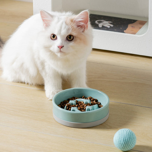 Miapet纯色流星慢食碗带硅胶圈