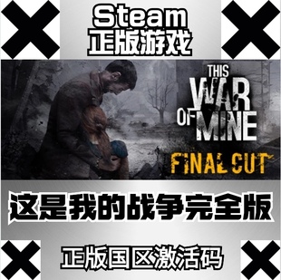 This War Steam正版 国区激活码 战争完全版 Mine cdkey 我