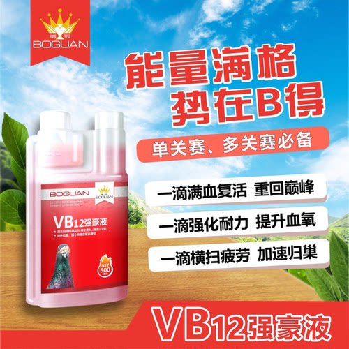 搏冠 VB12强豪液 快速恢复体能比赛提速高峰营养液 500毫升