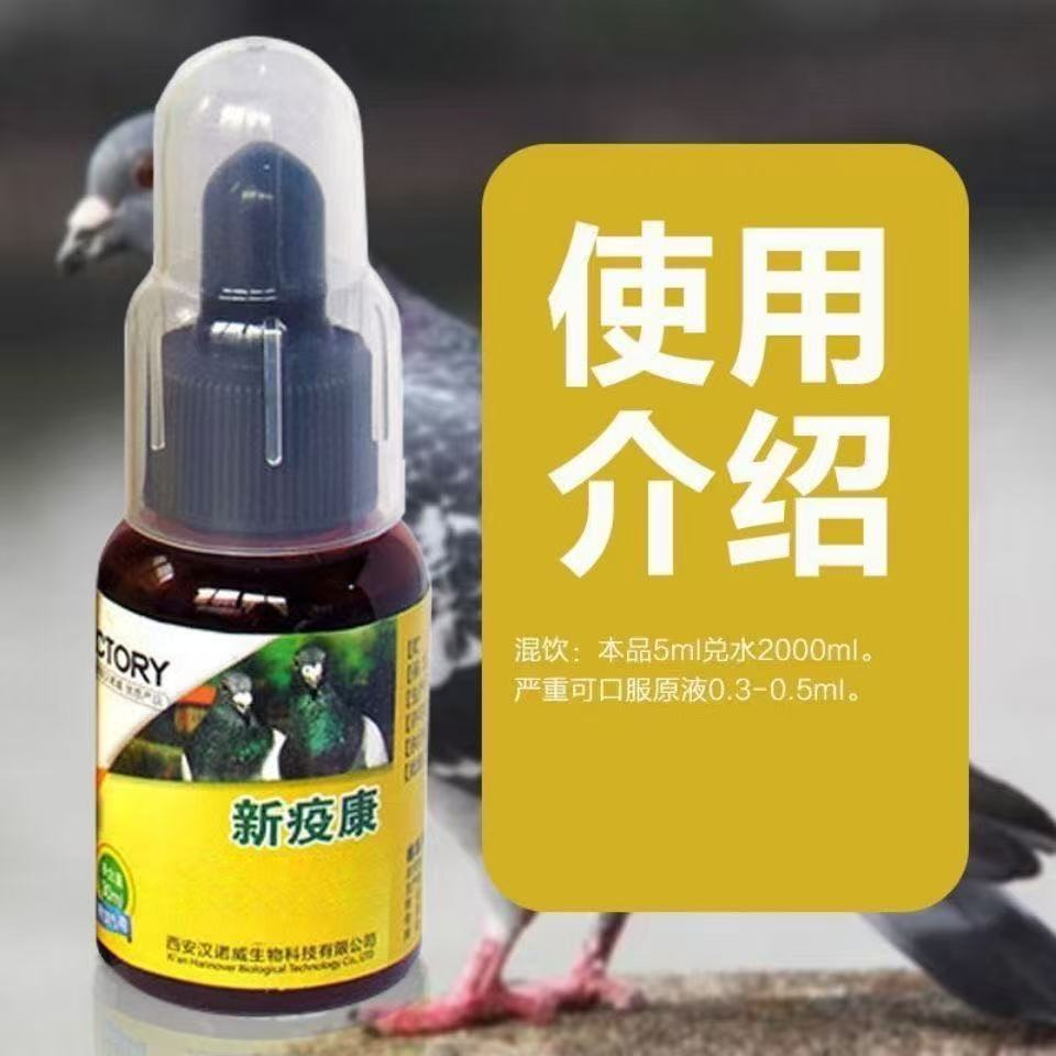 格莱德 新疫康 50毫升 鸽子用品 赛鸽用品