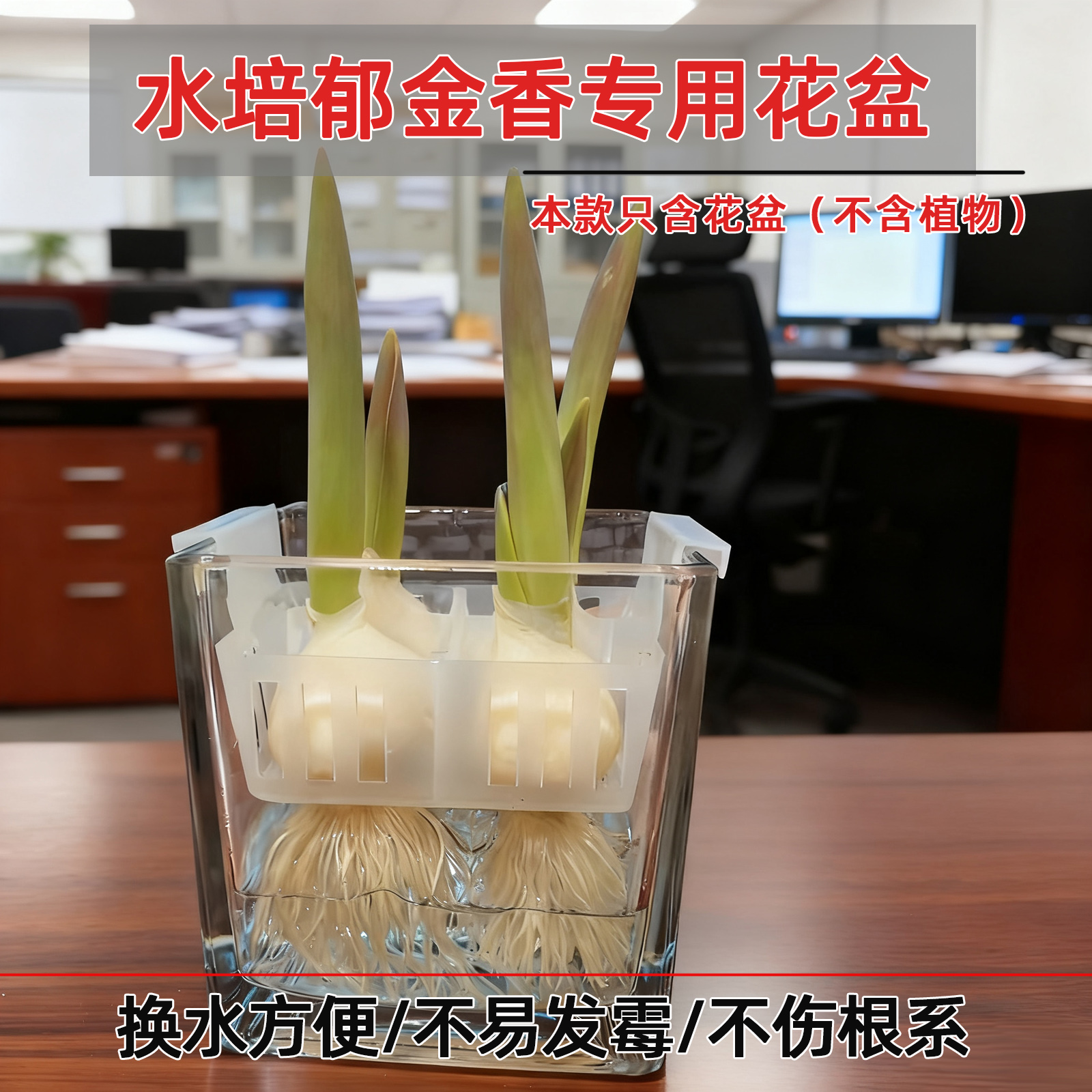 新款定植篮水培郁金香玻璃瓶亚克力水养器皿绿萝植物花卉盆栽花瓶