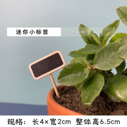 桌面迷你小黑板告示标签花插植物标路牌多肉名字园艺花盆插牌
