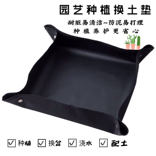 多肉换盆园艺植物家用