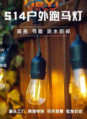 24V110V220V太阳能户外防水S14LED露营花园庭院聚会营地跑马灯串