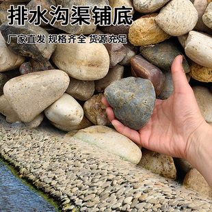 批发景观河溪石水冲石大鹅卵石园林河道造景驳岸景观草坪点缀工程
