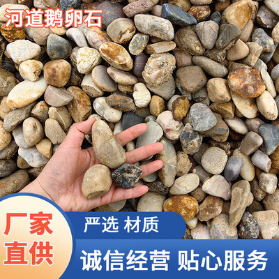 批发大量铺路河道鹅卵石电站变压器石河卵石园林造景天然石头砾石