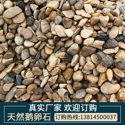 厂家直销鹅卵石批发铺地造景
