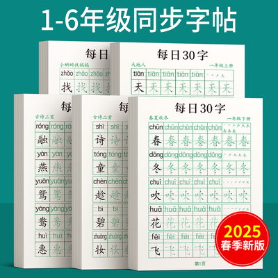 每日30字练字帖小学生人教版同步