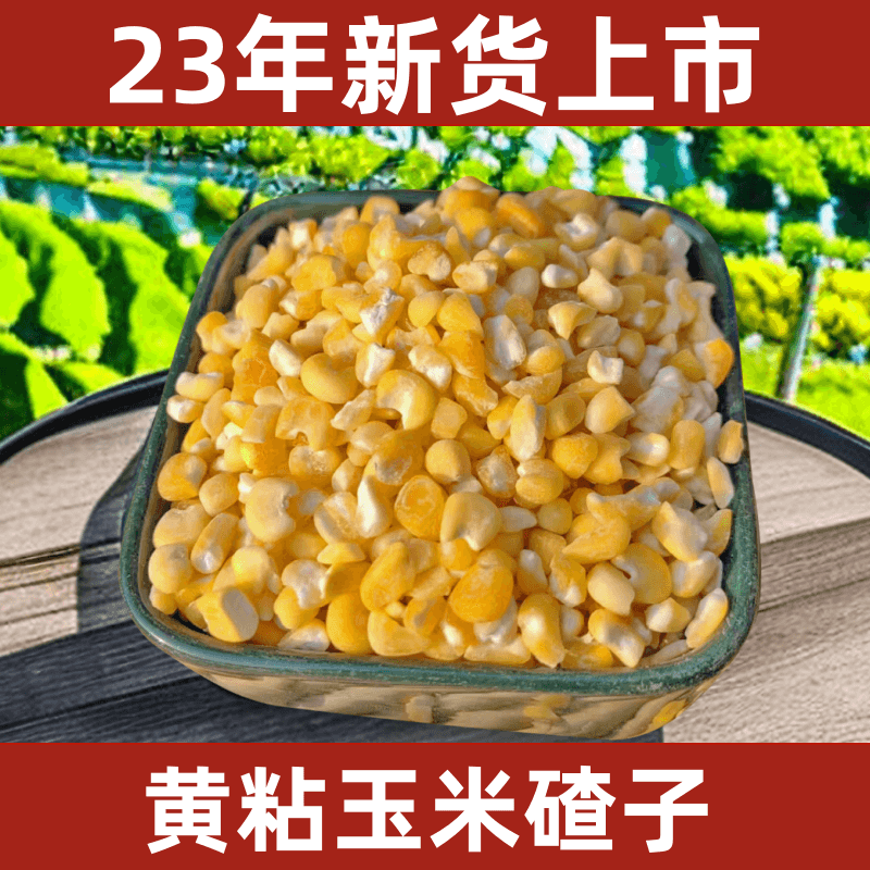 东北农家粘玉米大碴子煮粥糁子