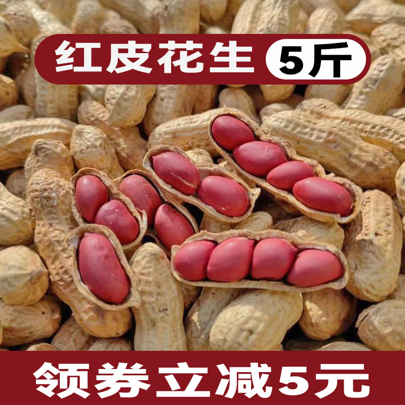农家自种带壳红皮花生新货四粒红