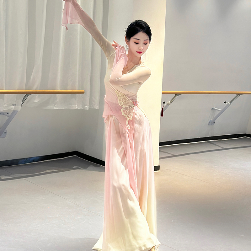 小寒古典舞蹈服渐变蝴蝶纱衣练功服飘逸中国舞演出服裙裤表演服夏