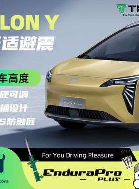 TEIN END 广汽埃安Y ALON Y EnduraPro Plus 舒适避震 减震器