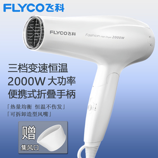 飞科电吹风2000W大功率发廊专用吹风机负离子不伤发家庭式FH6232