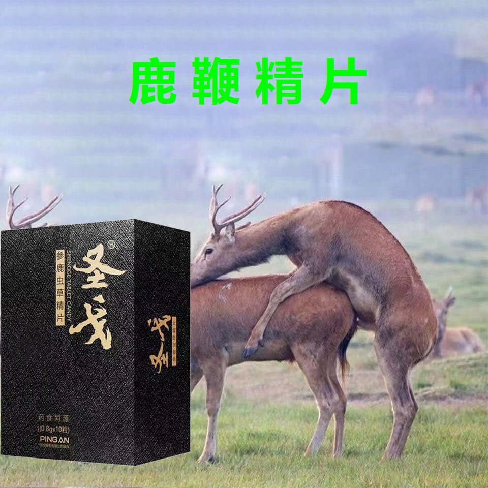 圣戈升级莮葆鹿鞭牡蛎精片双参肽保健虫草滋补夫妻营养品历坚16粒