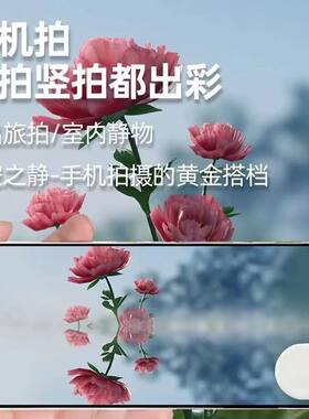 抖音同款天空之镜手机倒