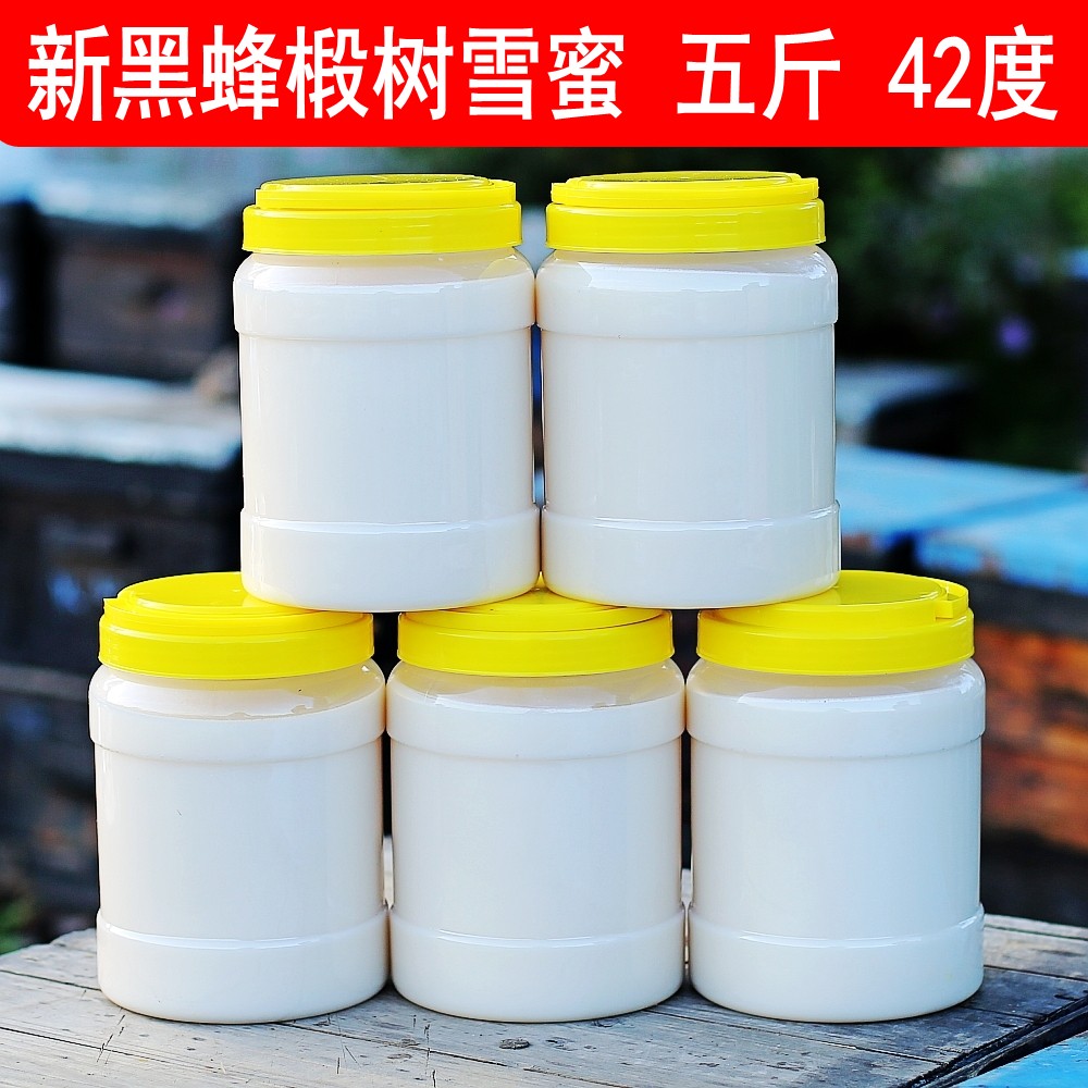 五斤 蜂蜜 长白山黑蜂椴树雪蜜天然纯正农家自产野生土蜂结晶白蜜