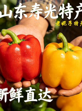 山东寿光五彩水果彩椒 每天现摘红色黄色混装 灯笼椒 产地直发5斤