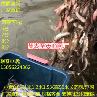 丝网白条网6分7分8分9分眼三层网粘网捕鱼网50米长沉网浮网餐条网