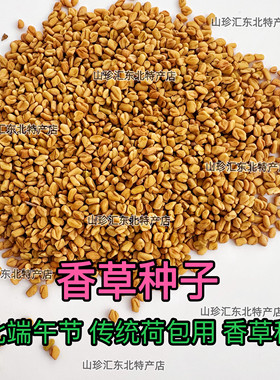 香草种子东北端午节香草种子香草籽香囊草种子东北端午节荷包种子