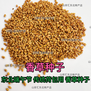 香草种子东北端午节香草种子香草籽香囊草种子东北端午节荷包种子