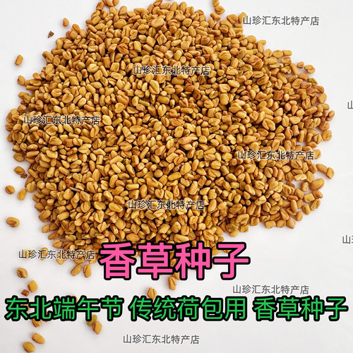 香草种子东北端午节香草种子香草籽香囊草种子东北端午节荷包种子