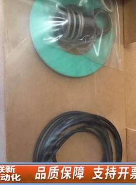 DP PUMP VF10 SEALKIT GARNITU