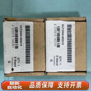 6GT2000-0DG10，E-Stand版本