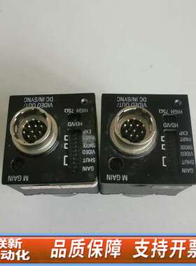 泰利/teli CSCV90-ANA 工业CCD模拟相机 黑