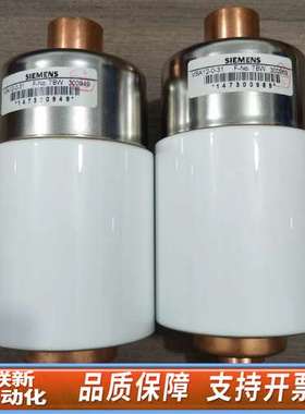 VSA12-0-31真空搅拌器