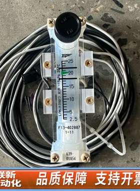 TOKYO KEISO东京计装流量计F13-402887，0