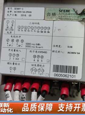 SFERE电子仪器表，SE96Y-C， ，，