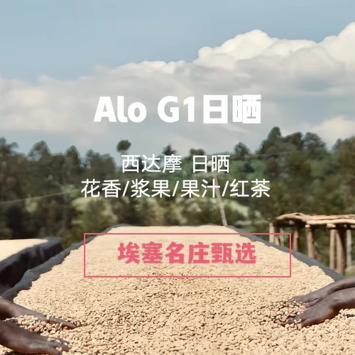 埃塞俄比亚 Alo G1日晒 枫林晚咖啡豆  手冲咖啡豆 挂耳咖啡 精品
