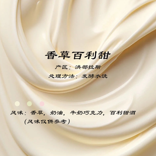 洪都拉斯 香草百利甜咖啡豆 挂耳咖啡 手冲意式精品