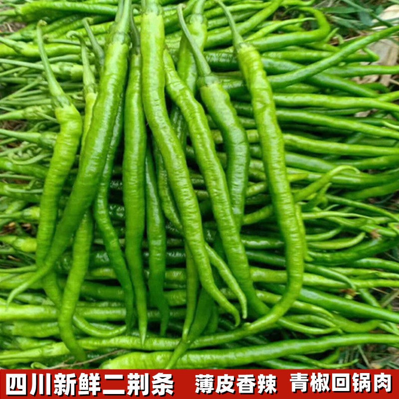 四川成都新鲜二荆条青椒青海椒辣椒薄皮青椒非线椒时令蔬菜微辣
