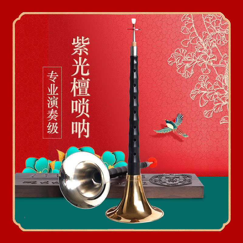 紫光檀全套唢呐初学者乐器D调降B调民间锁呐专业演奏型入门喇叭