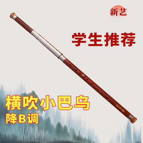 儿童巴乌横吹小学生乐器