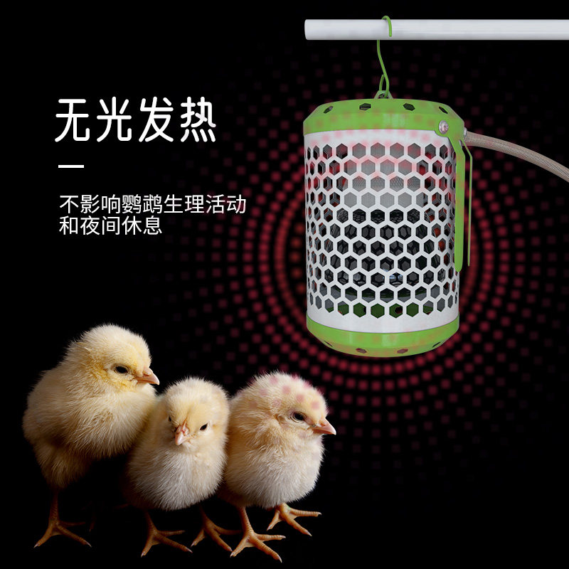 芦丁鸡保温灯饲养箱温控器卢丁鸡保暖取暖灯育雏专用灯泡小鸡设备