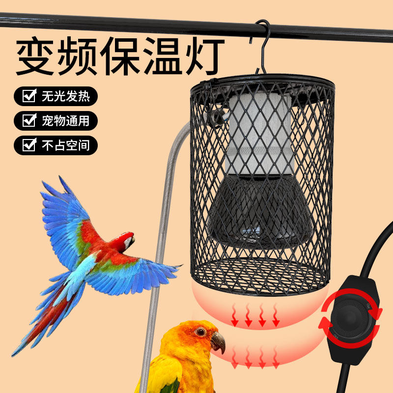 包邮宠物鹦鹉保温灯陶瓷加热灯鸟笼取暖灯防烫灯罩鹦鹉窝过冬神器,宠物/宠物食品及用品,鸟禽其他,淘宝优惠券,粉丝福利购,淘宝优惠卷