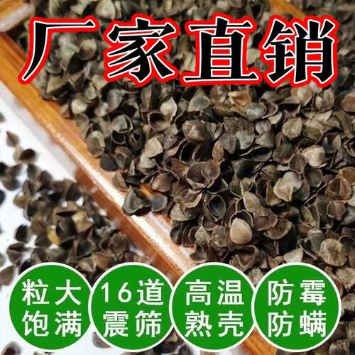 荞麦壳散装荞麦皮棱子皮免洗特级荞麦枕芯婴儿枕芯填充物成人枕头
