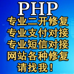 网站系统定制开发|二次开发|支付接口|API对接|PHP js|前端|BUG