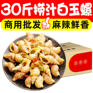 麻辣捞汁白玉螺即食海鲜捞汁小海鲜小吃零食下酒下饭菜商用批发