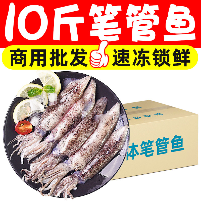 新鲜速冻笔管鱼小鱿鱼乌贼小墨鱼海兔子鲜活冷冻海鲜水产商用批发