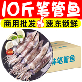 新鲜速冻笔管鱼小鱿鱼乌贼小墨鱼海兔子鲜活冷冻海鲜水产商用批发