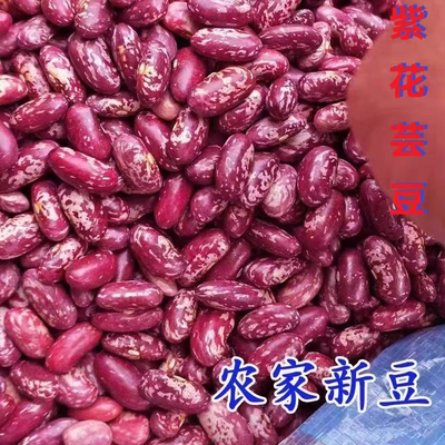 2025云南特产新花豆五谷花腰豆红豆酸菜豆米火锅芸豆紫花芸豆干货