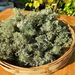 云南楚雄大姚特产野生树花菜树皮树花树胡子凉拌菜山珍干货