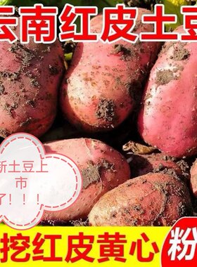 2026年新鲜云南红皮土豆3斤/5斤 /9斤高原红皮黄心洋芋土豆