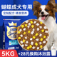 皇恒赛级蝴蝶犬成犬专用狗粮5kg大型犬蝴耳犬全价粮冻干