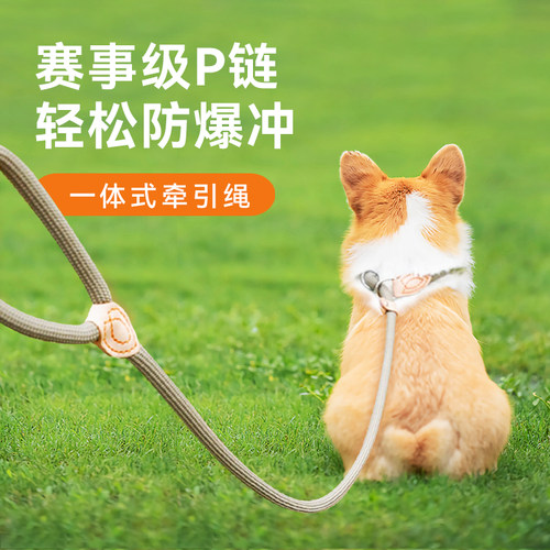 狗狗牵引绳防爆冲项圈大小可调