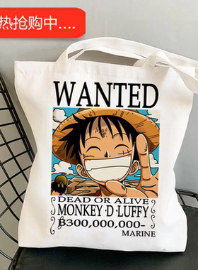 犇外贸货源One Piece 日本动漫海贼王印花帆布包单肩手提购物袋现
